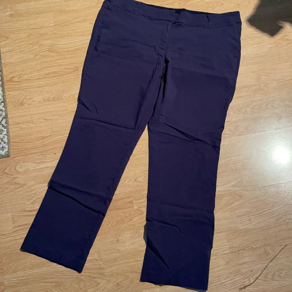Dress pant